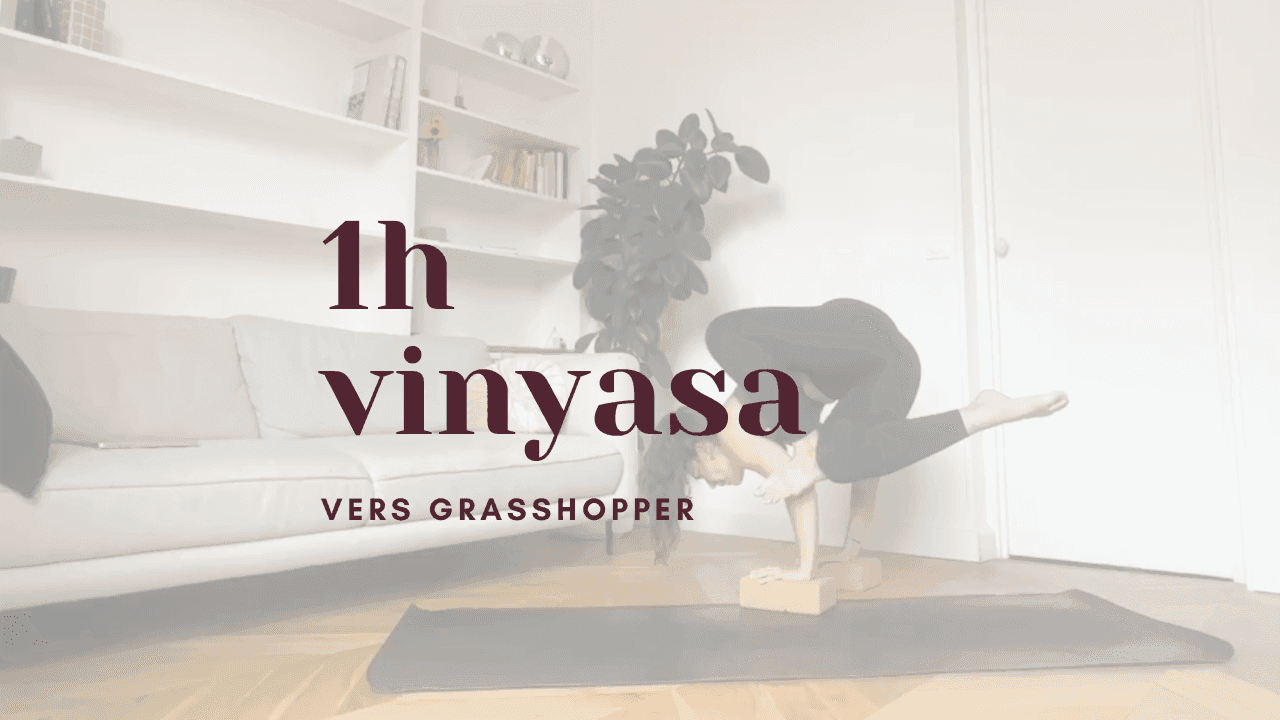 1h - yoga vinyasa // ver grasshopper 