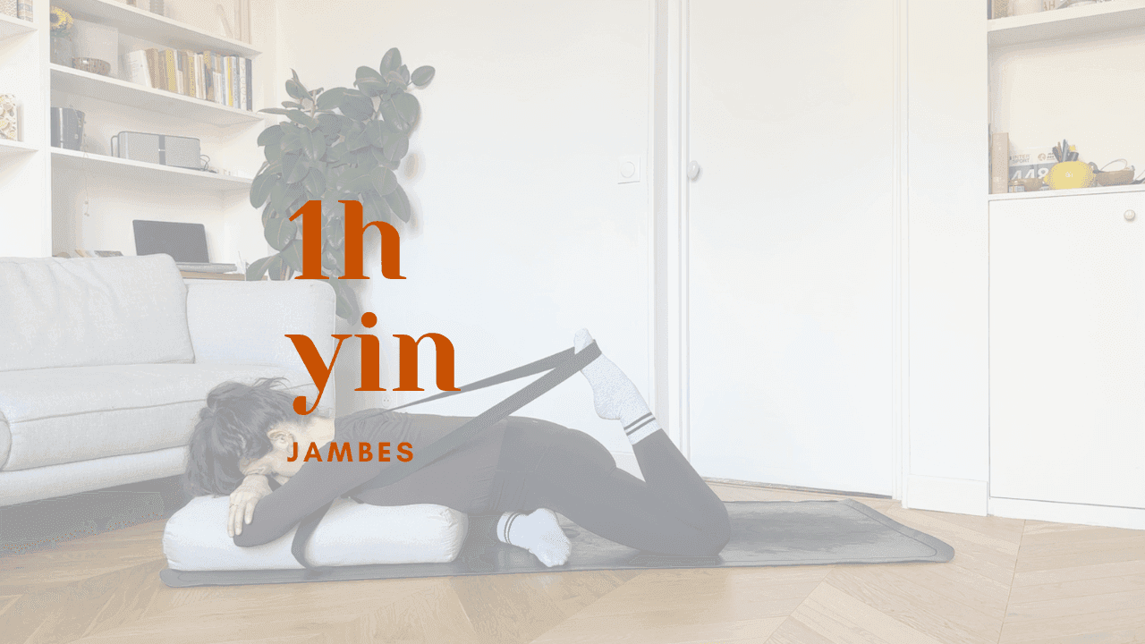 1h - yin // jambes